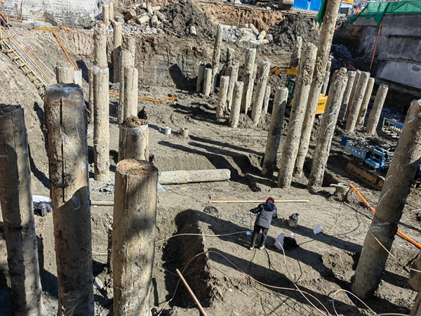 灌注桩XVDEVIOS安装包施工